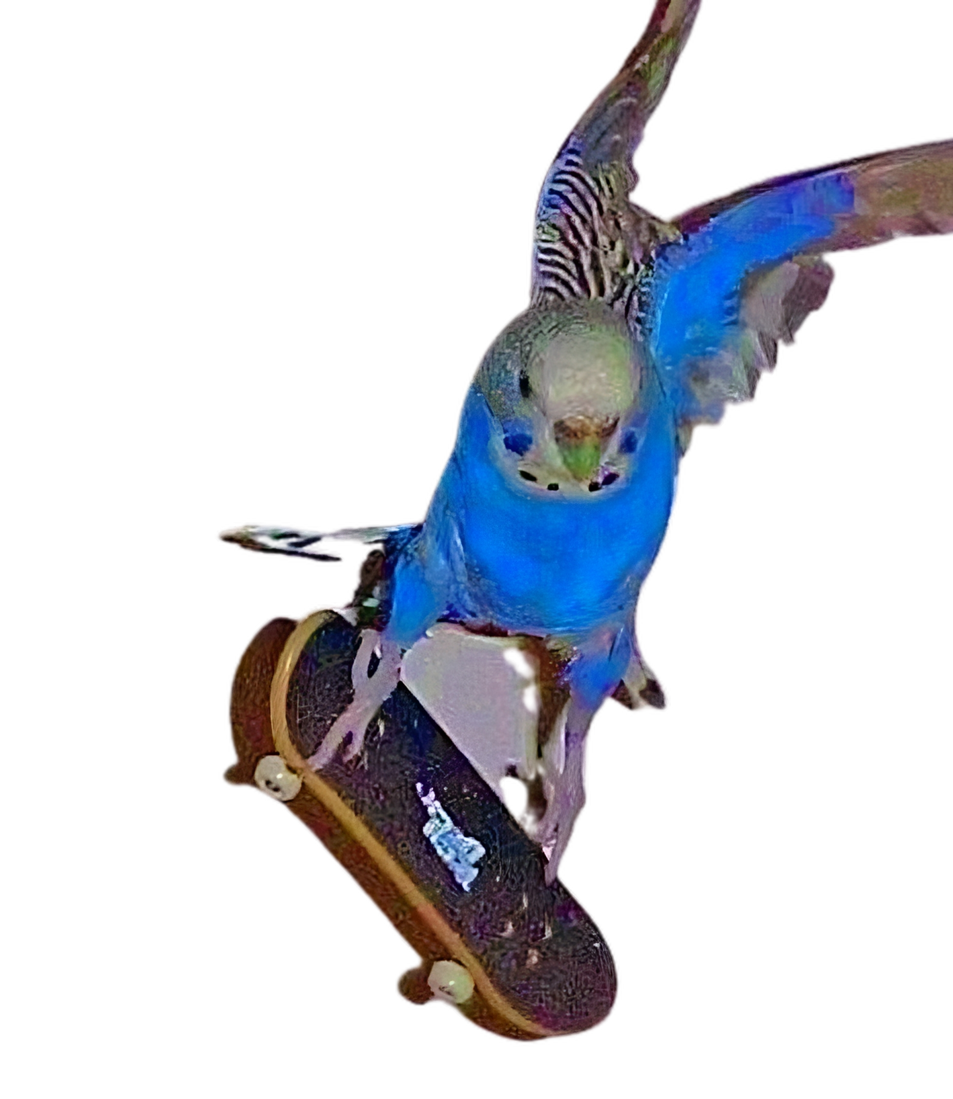 elecRAY- my bird on mission